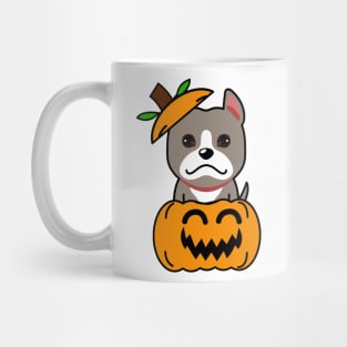 Funny grey dog is in a pumpkin Mug